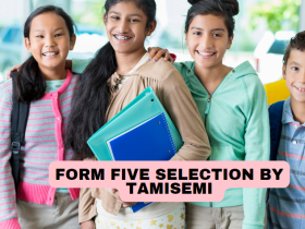 Form Five Selection  Tamisemi